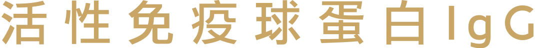 活性免疫球蛋白IgG